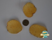 Mr Chips Labneh - Chips
